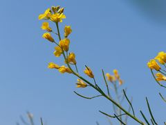 -光明小镇欢乐田园