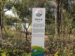 -昆山城市生态森林公园