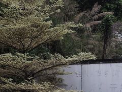 -来回·咖啡(钟村咖啡豆店)
