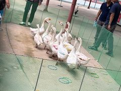 -秦皇岛野生动物园