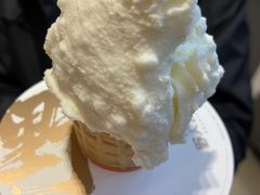 -野人先生现做冰淇淋(北京环宇荟店)