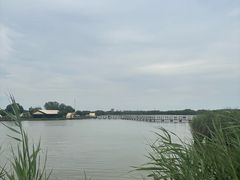 -西青郊野公园