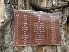 -呀路古热带植物园