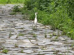 -河姆渡遗址博物馆