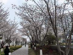 -新天地活力PARK