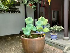 -孔氏南宗家庙