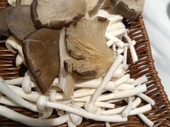 -龙泉人椰子鸡.糟粕醋.海南菜(三亚旗舰店)