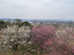 -南京市无想山景区