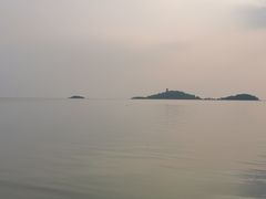 -上海市保健医疗中心