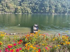 -新安江山水画廊风景区