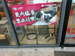 -小猪查理川式市井烤肉自助(辛集店)