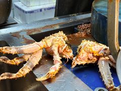-开海·红岛海鲜虾水饺(石老人店)