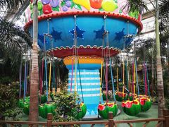 -南宫五洲植物乐园