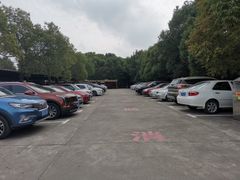 -野生动物园-停车场