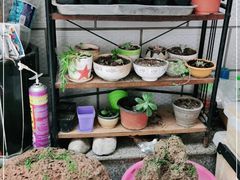 -秀水家园农家院住宿团建(石林峡店)