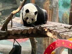 -青藏高原野生动物园