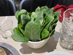 菠菜-浩爷羊蝎子火锅(望京店)