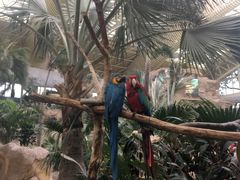 -杭州开元森泊度假乐园