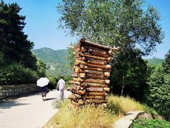 -北京西山国家森林公园