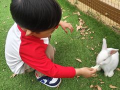 -盈香心动乐园