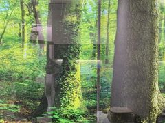 -极简口腔(总院)