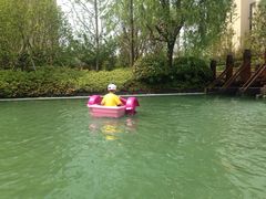 -上海崇明金茂凯悦酒店