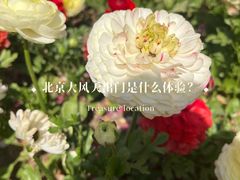-元大都城垣遗址公园