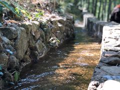 -众神白水涧景区