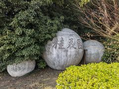 -东平国家森林公园