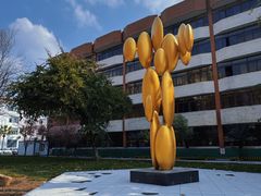 -四川大学(望江校区)