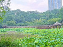 -龙头寺公园