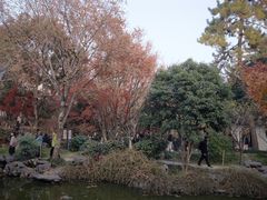 -秋霞圃