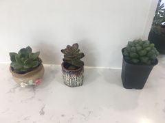 -梁子刨冰王&梁小糖(王顶堤店)