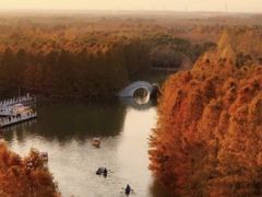 -上海海湾国家森林公园