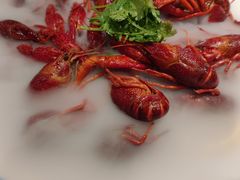 -杨氏青龙虾·羊蝎子(珠江路店)