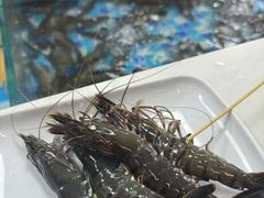 -养牛邓·潮汕牛肉海鲜自助火锅(广州店)
