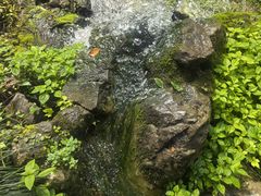-杭州花家山庄