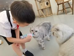 -猫友咖啡店(玉林西路店)