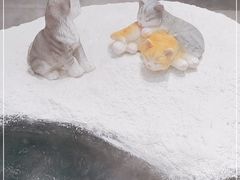 -将太无二·北美传奇寿司(荟聚购物中心西红门店)