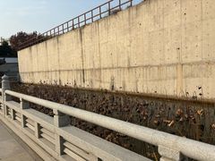 -舍利塔滩地公园-无垢净光舍利塔