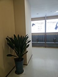 -贵阳美莱医疗美容整形医院