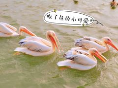 -宁波野生动物园
