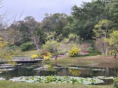 -云溪植物园