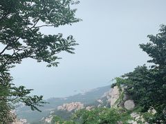 -崂山仰口游览区