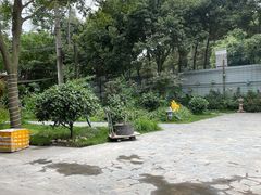 -西昌老号李小肠特色烧烤园(双流店)