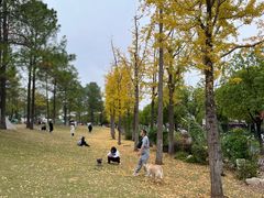 -美兰湖景区