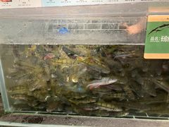 -门溪山居(七星店)