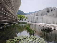 -中国宣纸文化园