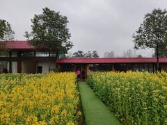 -洪湖家庭农场·团建·露营·会议