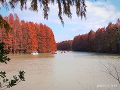 -上海海湾国家森林公园